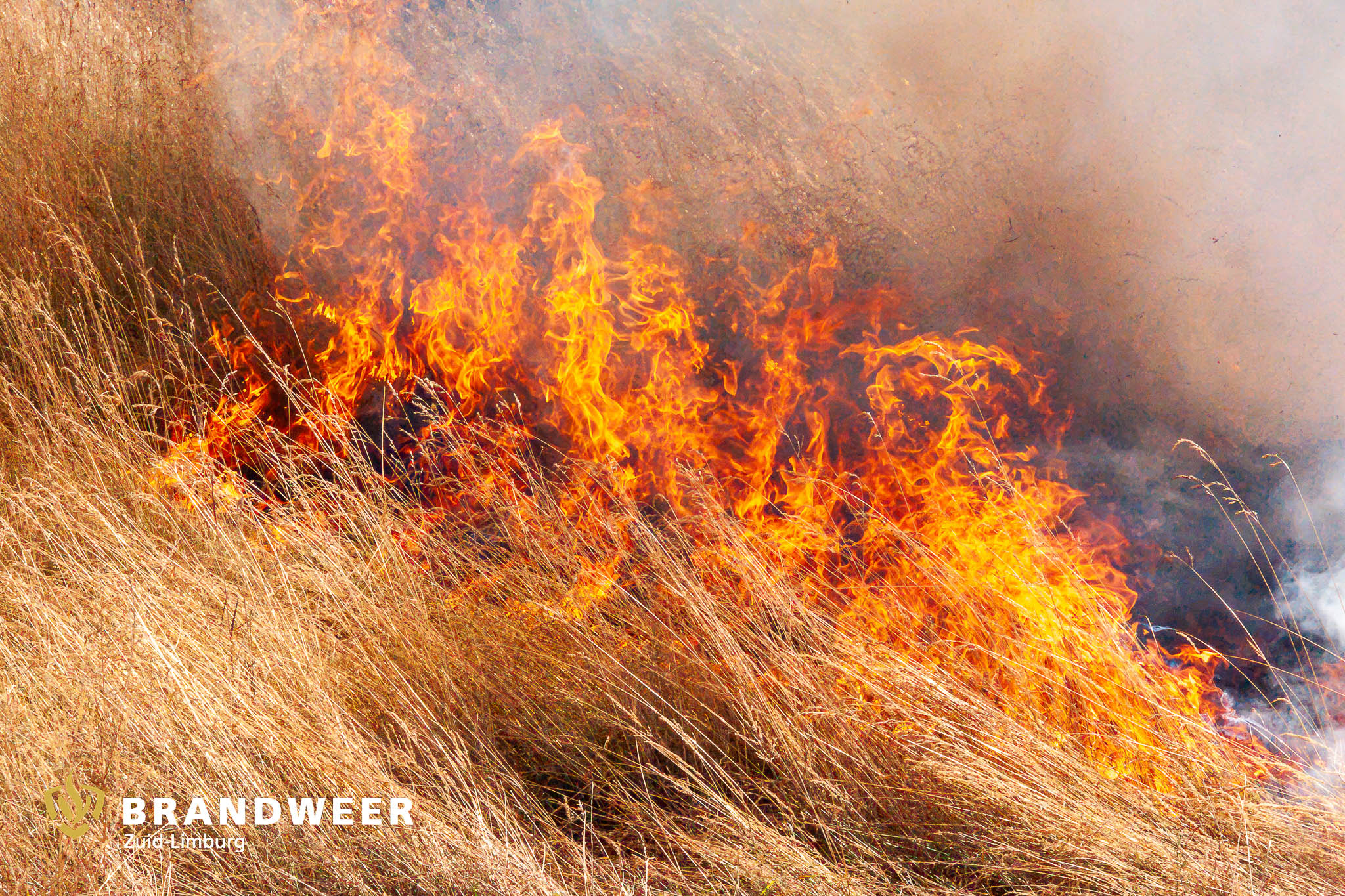 01-08-2026 – Bocholtz, Akker in brand